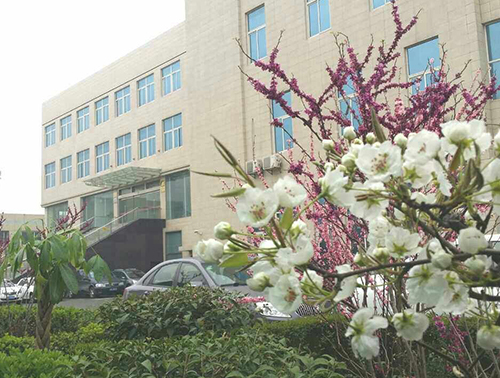 銀馬磚機公司一角